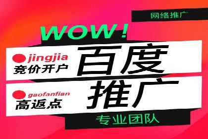 SEM服务公司助力企业转型案例